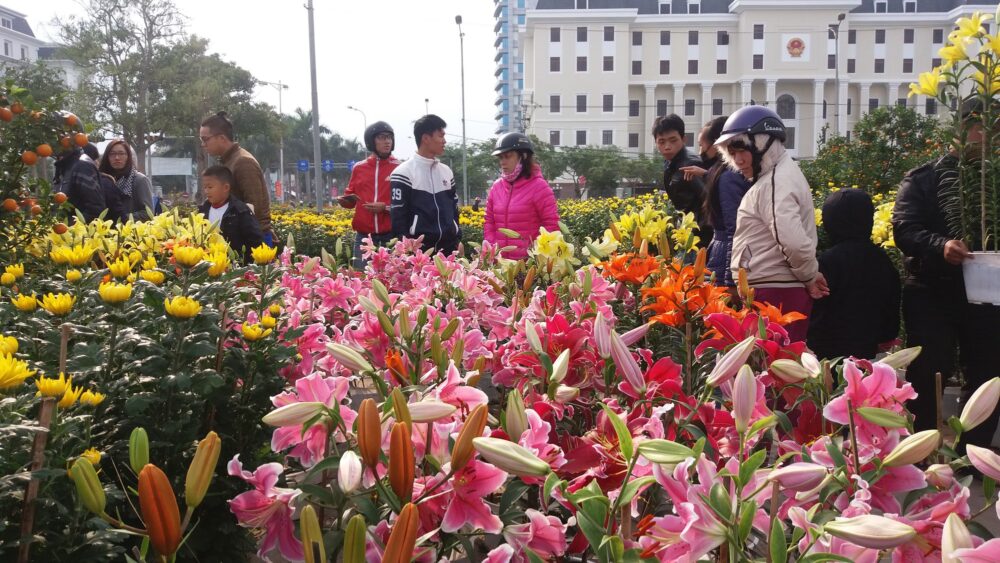 kinh doanh hoa tet scaled Kinh doanh hoa tết 2022: Chia sẻ kinh nghiệm bán hoa ngày tết mà ít người biết